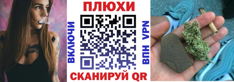 купить   Куса  ГАШ Premium 