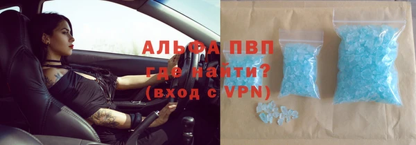 прущий лед Алзамай